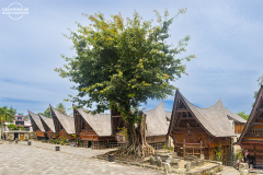 ind_sumatra_toba_030