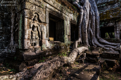 Kam_Ta-Prohm_001