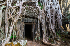 Kam_Ta-Prohm_002