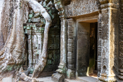 Kam_Ta-Prohm_003
