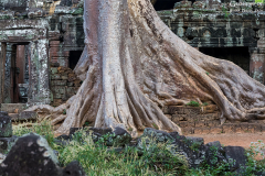 Kam_Ta-Prohm_004