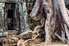 Kam_Ta-Prohm_005