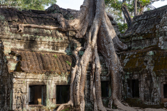 Kam_Ta-Prohm_006