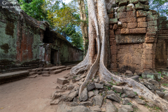 Kam_Ta-Prohm_007