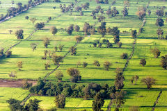 Kam_Batt_005
