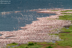 ken_bog_004