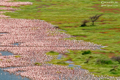 ken_bog_005
