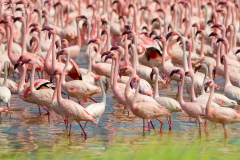 ken_bog_008