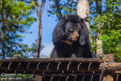 LAOS_Kuang_012