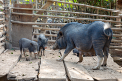 LAO_Oberlauf_Mekong_004
