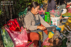 LAOS_Luang_015