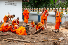 LAOS_Luang_018