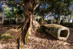 LAO_Phonsavan_Land_004