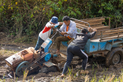 LAO_Boulaven_013