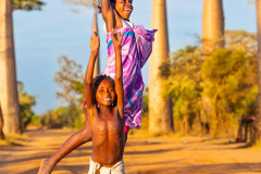 mad_baobab_008