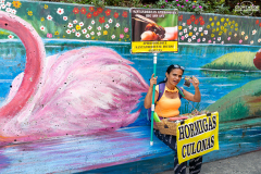KOL_Medellin_014