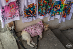 KOL_Medellin_016