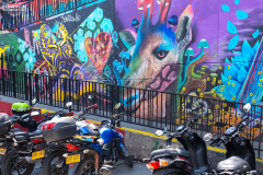 KOL_Medellin_019