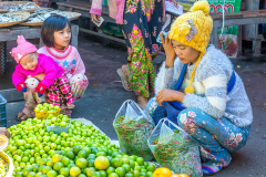 Myn_Inle_Anbau_004