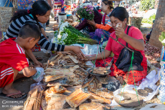 Myn_Inle_Anbau_005