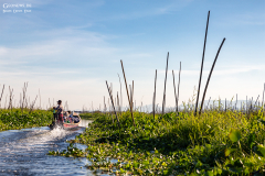 Myn_Inle_Anbau_006