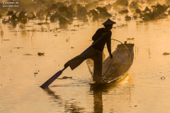 Myn_Inle_Fischer_004