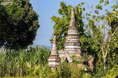 MYN_Shan_002