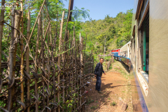 MYN_Shan_024