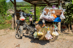 MYN_Shan_026