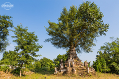 MYN_Shan_037