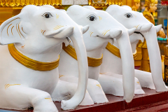 MYN_Shwedagon_013