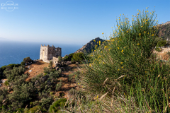 nax_agia_008