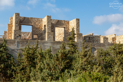 nax_aliko_016
