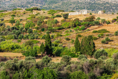 nax_demeter_001