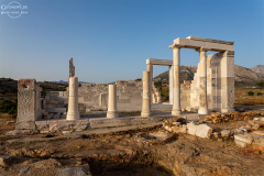 nax_demeter_002