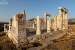 nax_demeter_003