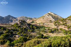 nax_kinidaros_010