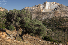 nax_marmor_006