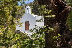 nax_melanes_004