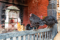 Nepal_Bhaktapur_013