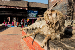 Nepal_Bhaktapur_016