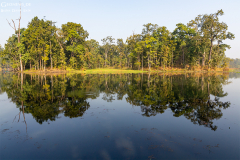 Nepal_Chitwan_014