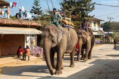 Nepal_Chitwan_016