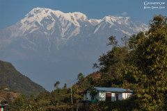Nepal_Pokhara_004