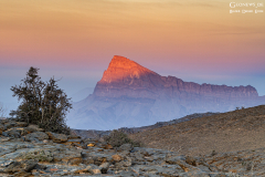 Oman_Hadschar_011