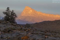 Oman_Hadschar_012
