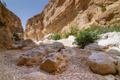 Oman_Hadschar_019