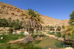 Oman_Hadschar_020