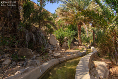 Oman_Hadschar_022
