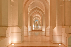 mus_005